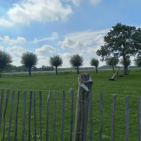 Pipowagen Boerderij De Schans 营地 Klundert