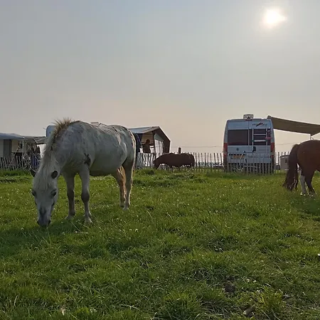 Pipowagen Boerderij De Schans * Klundert