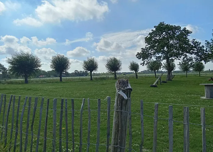 Pipowagen Boerderij De Schans Campeggio Klundert