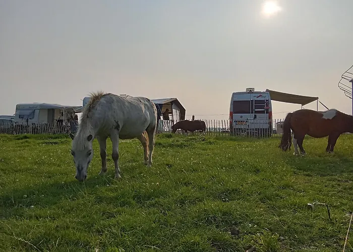 Pipowagen Boerderij De Schans * Klundert